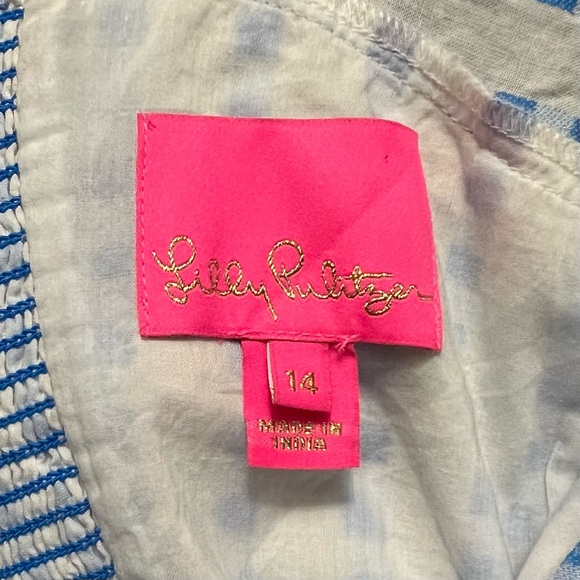 Lilly Pulitzer Midi Sidney Dress in Gingham Stripe Jacquard Blue White Size 14 - Picture 6 of 9